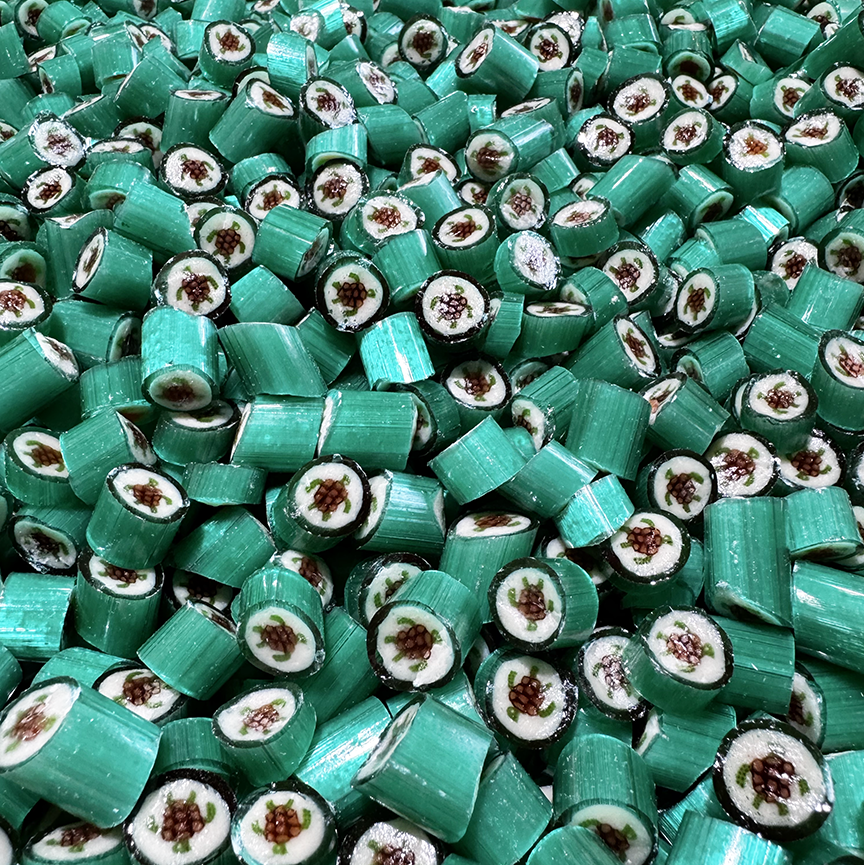 Sea Turtle Candy