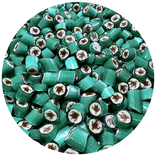 Sea Turtle Candy